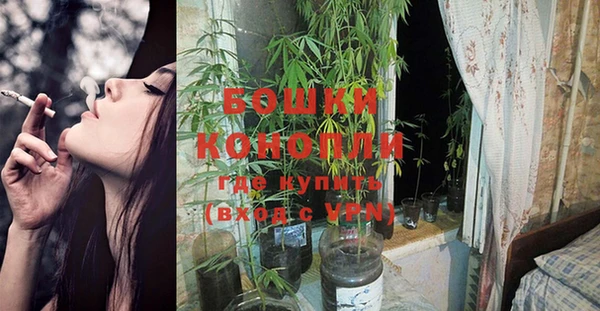 прущий лед Белокуриха