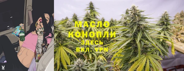 соль ск Няндома