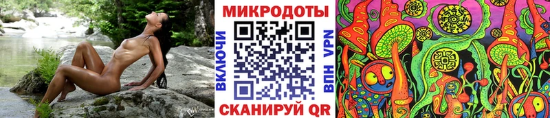 сколько стоит  Облучье  Псилоцибиновые грибы мицелий 